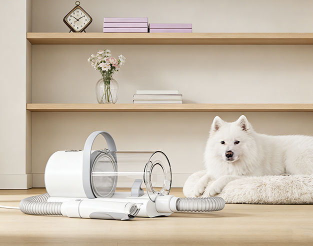 Starostlivosť o domáce zvieratá